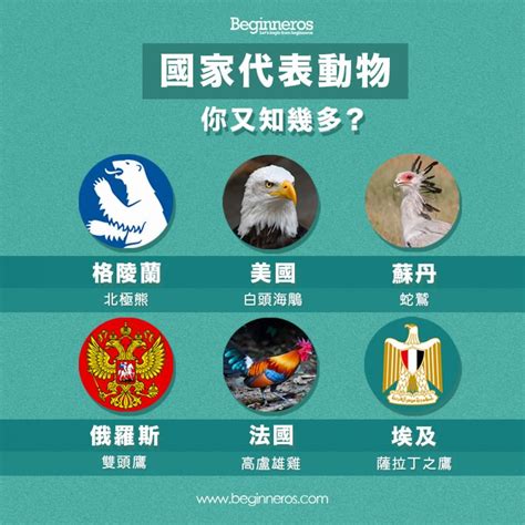 動物代表